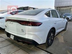 بي واي دي كوين L DM-i